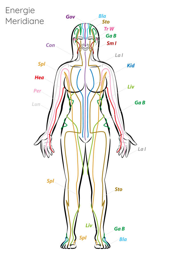 Bild der Energie Meridiane im Körper